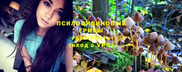 СК Алексеевка