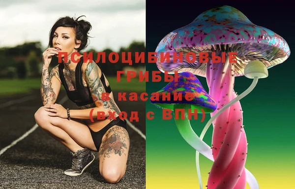 spice Алзамай