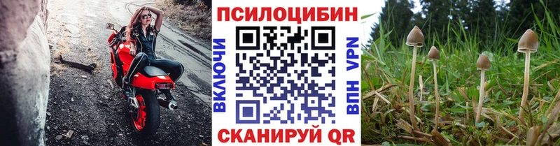 Псилоцибиновые грибы Magic Shrooms сайты даркнета телеграм Сухиничи